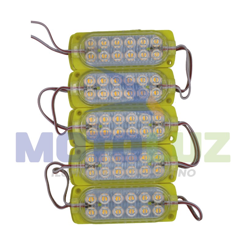 MODULO COB 12 LED