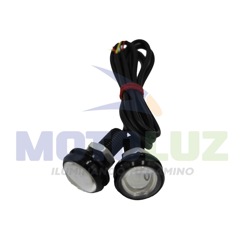 PAR DE OJOS DE ÁGUILA